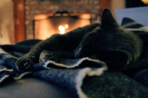 fireplace with cat sleeping on blanket
